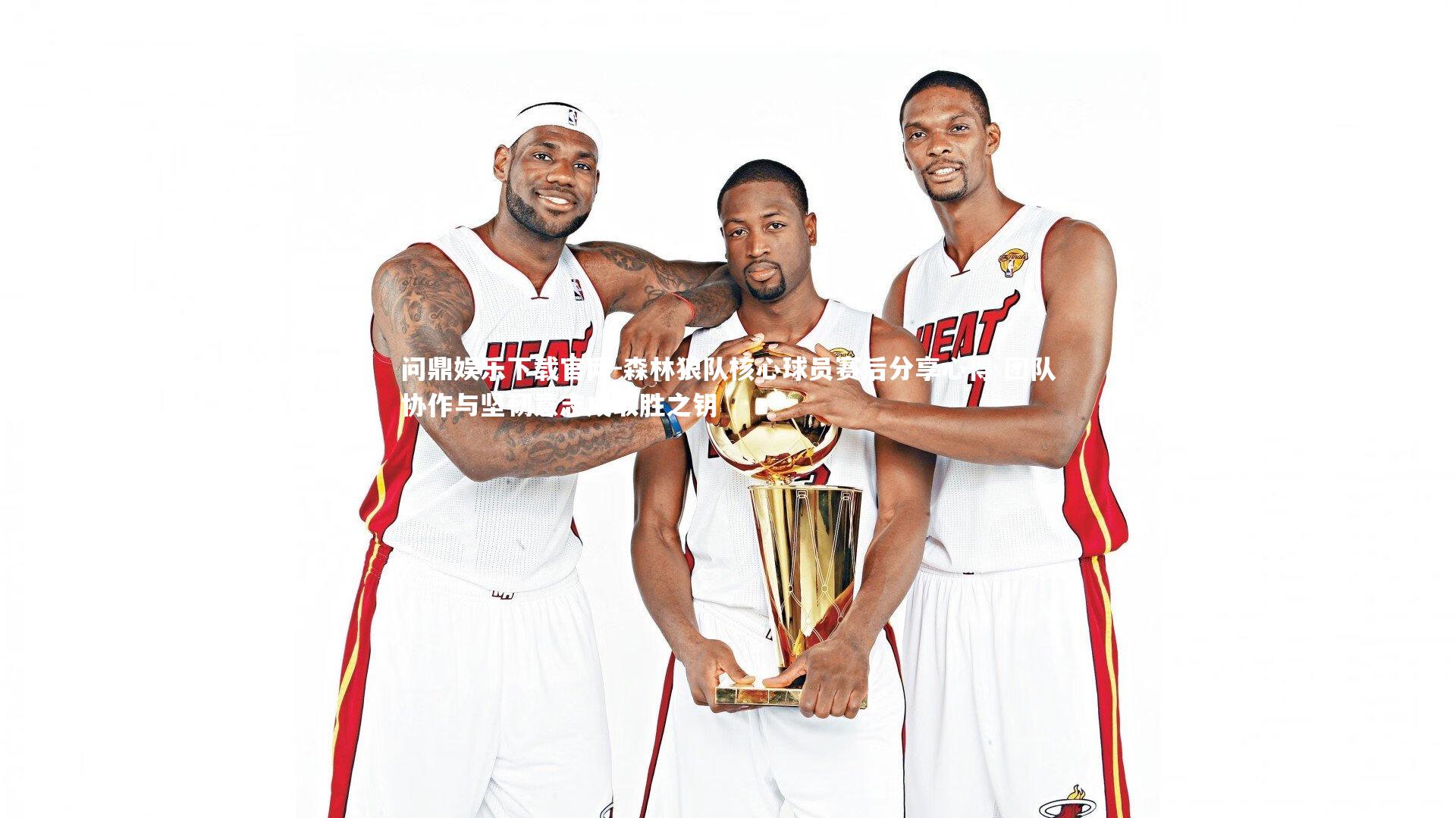 森林狼队核心球员赛后分享心得 团队协作与坚韧意志成取胜之钥